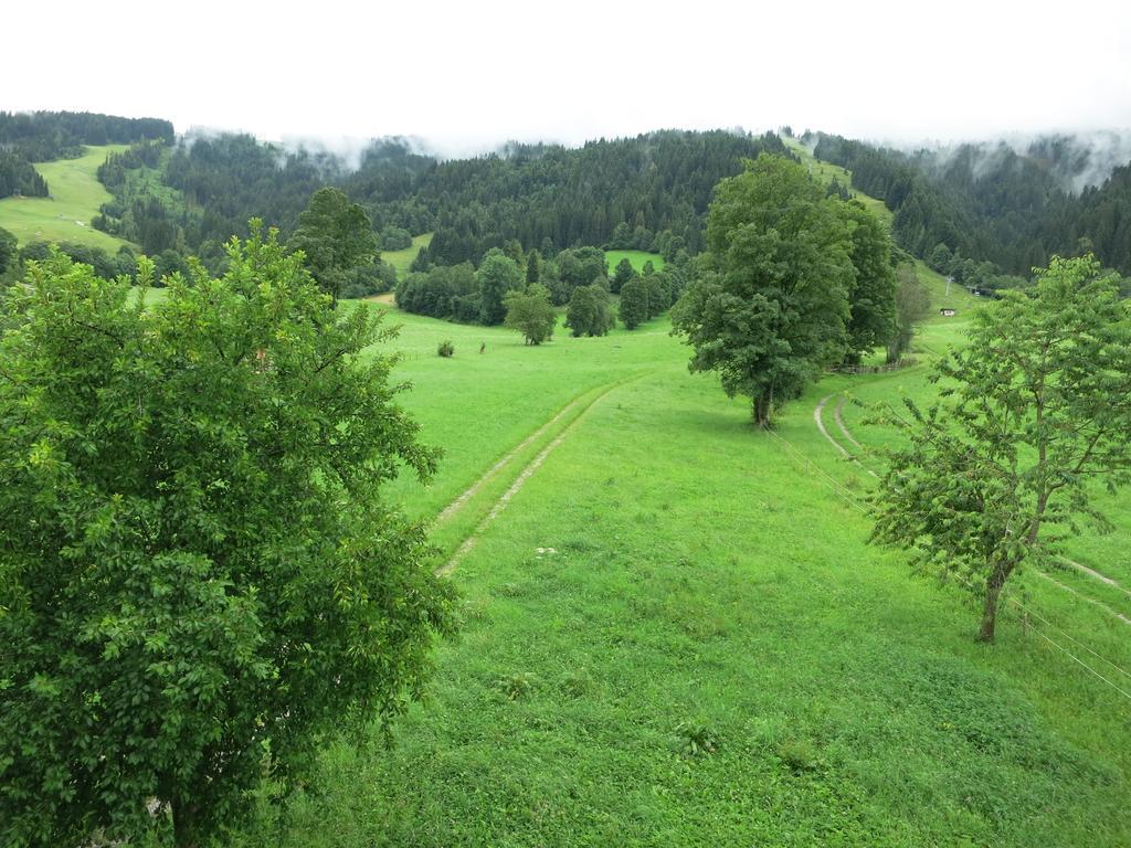 Ferienwohnungen Marchanger Niederau Rom bilde